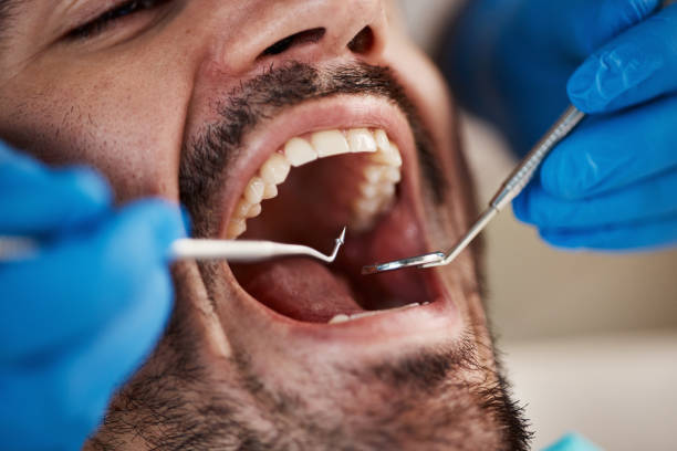 Best Emergency Denture Repair in Inez, TX